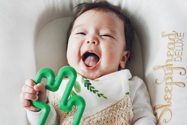 Cactus Teether