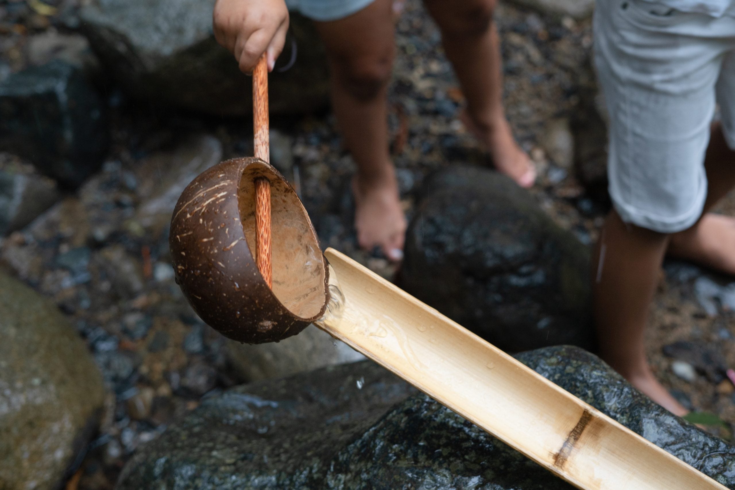Coconut Water Scoop
