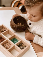 Load image into Gallery viewer, Coconut Sensory Box
