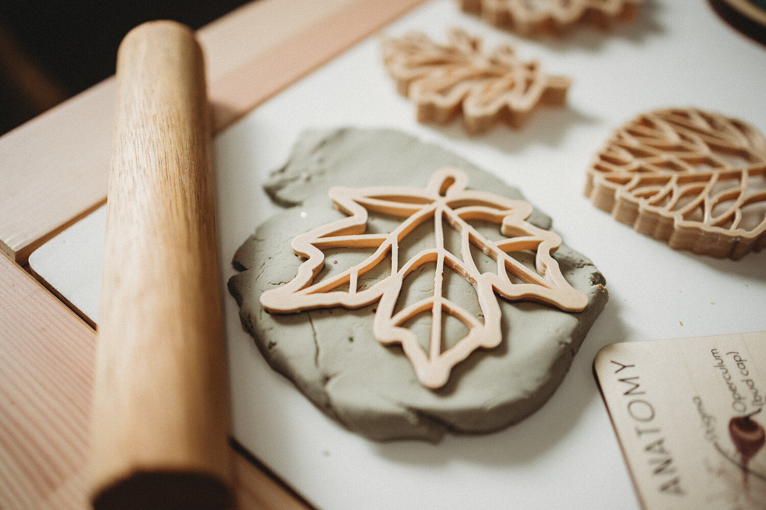 Leaf Eco Cutter Set